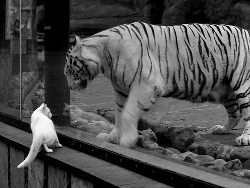 教科书般的胜利，拉什福德闪耀之夜与勒沃库森的集体风暴