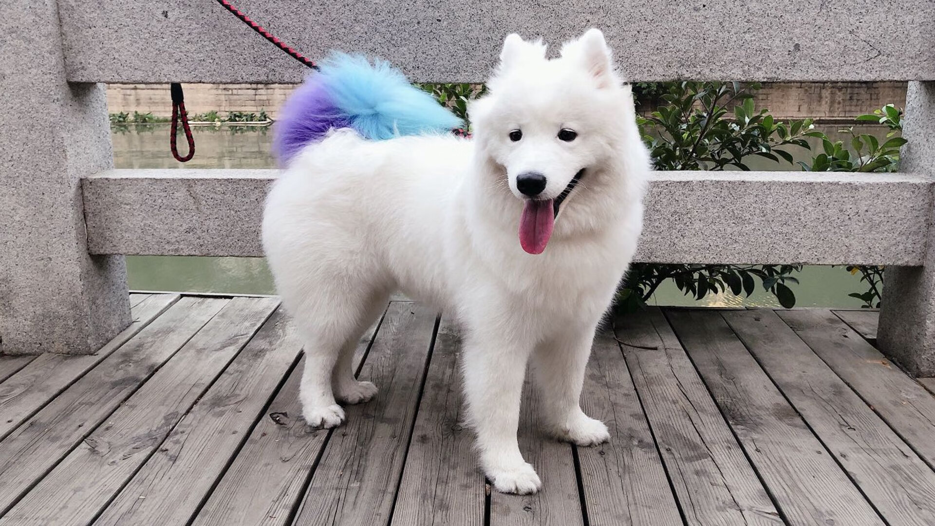 门神怒吼与铁军鏖战，奥纳纳的救赎之夜，伊拉克的逆袭史诗