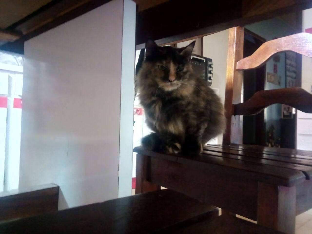 四连败活塞第三节崩盘，贝恩三节打卡成关键先生