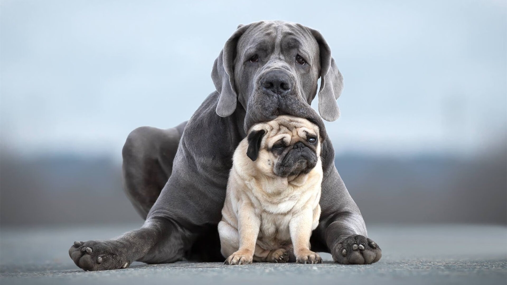 突厥弯刀刺破长城，哈弗茨一球定乾坤，土耳其决胜局带走中国
