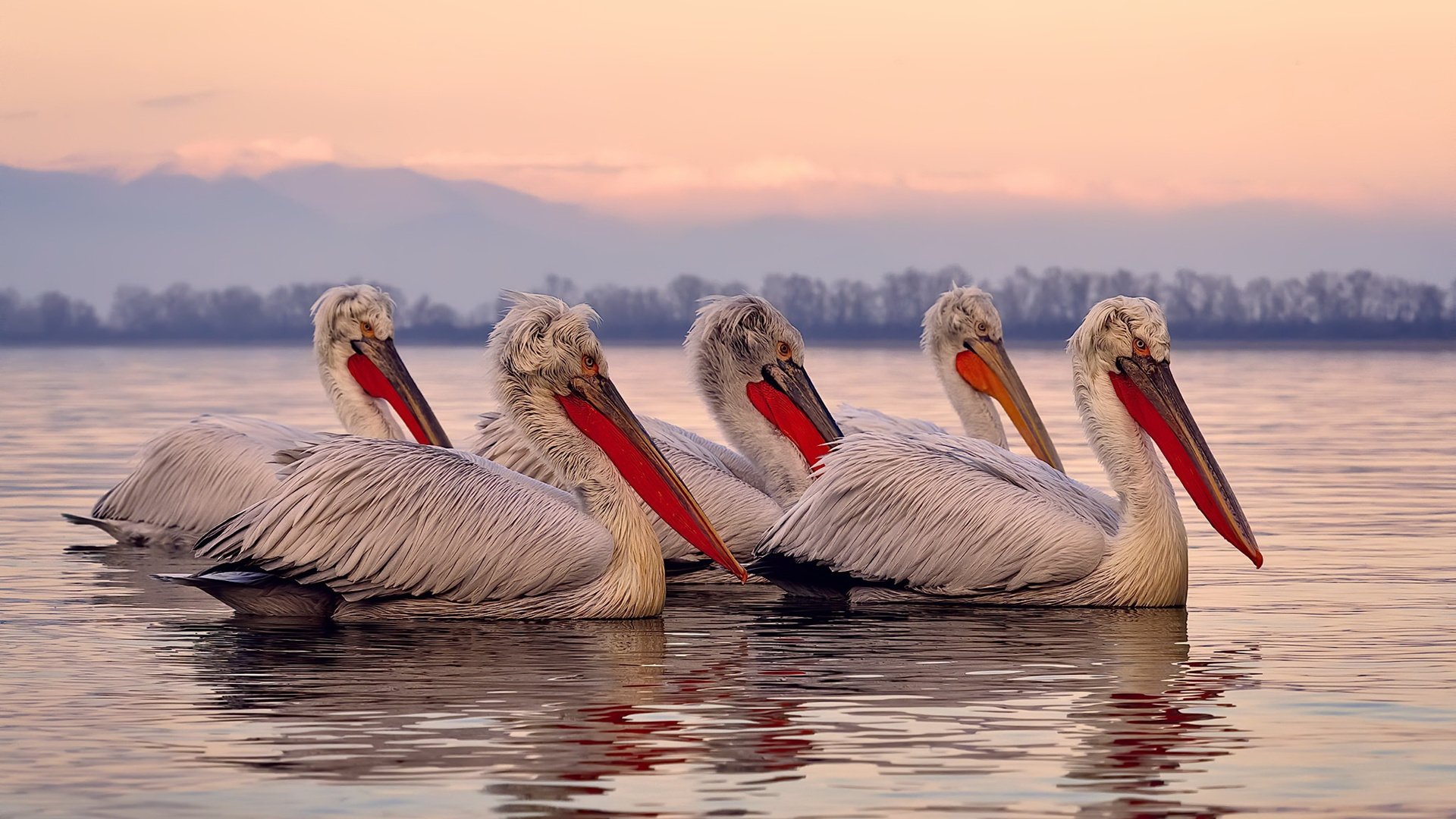 极速与对抗，F1巴林揭幕战与火箭队加时险胜的双重奏