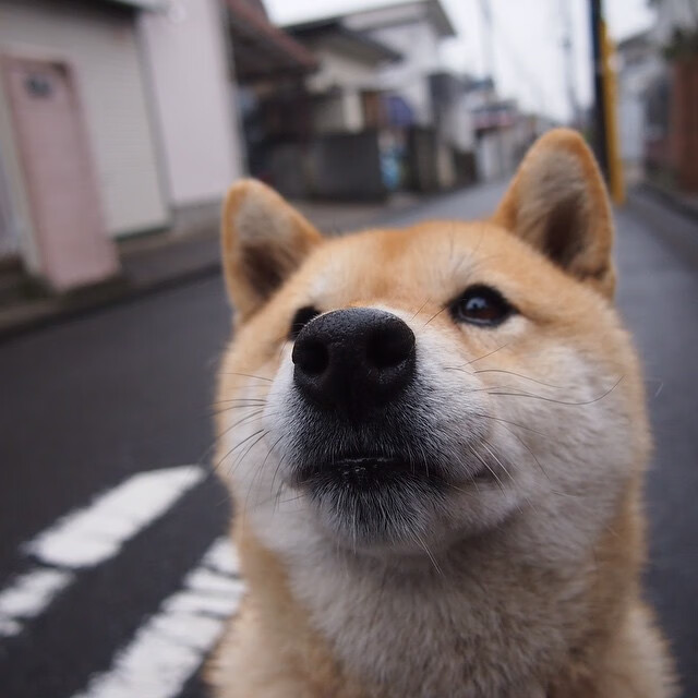 猎杀时刻，恩佐主宰的世界排名争夺夜