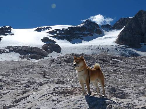 跨界风暴，山西队篮球场碾压独行侠，约基奇绿茵场主宰英超争冠