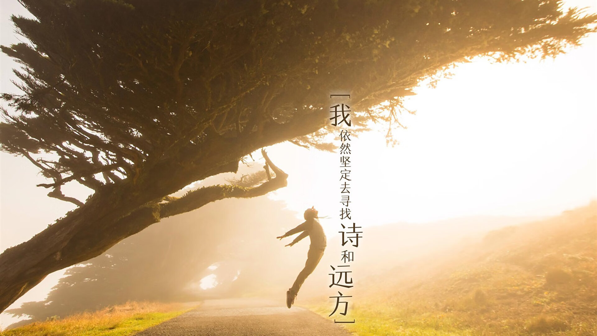双面神之刃，当阿尔瓦雷斯的孤胆英雄主义，撞上勒沃库森的精密体系机器