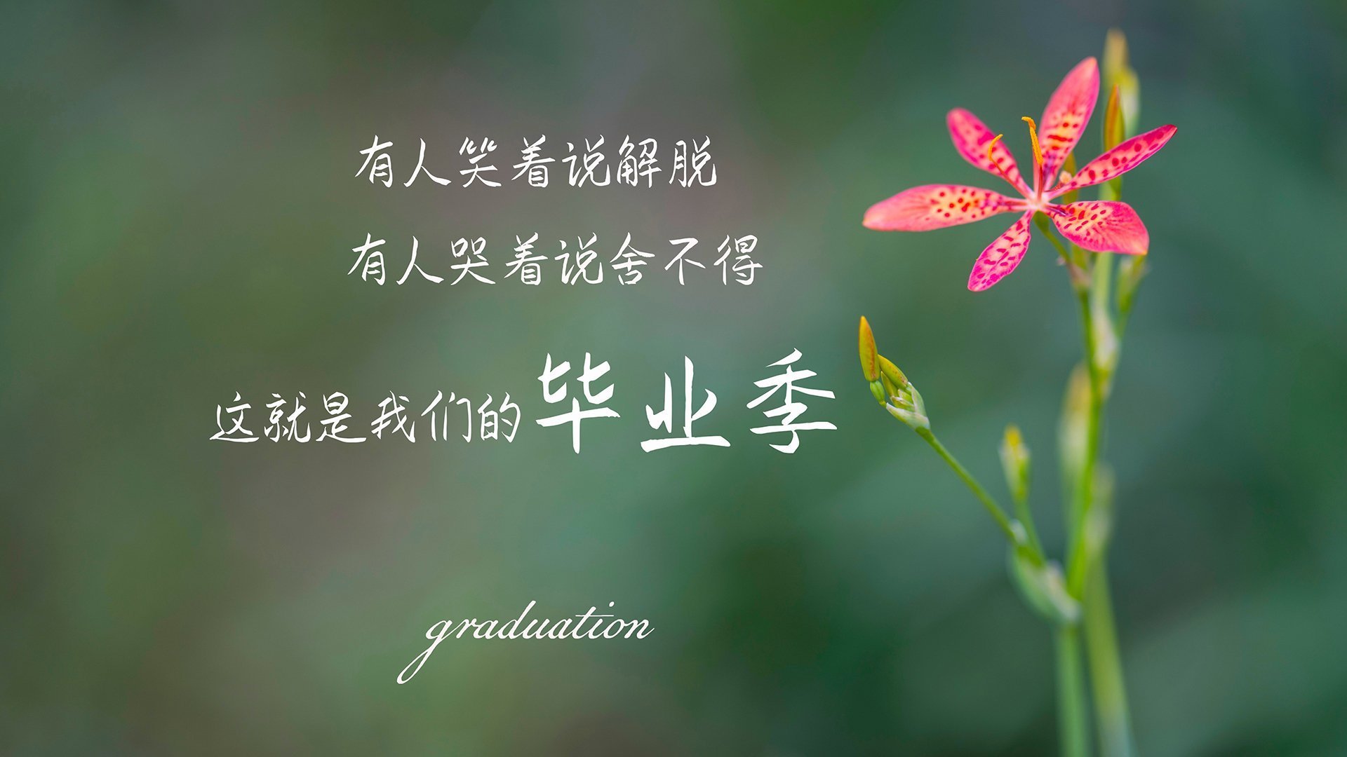 唯一的神话,2026世界杯揭幕战,凯恩率领越南惊天逆转葡萄牙